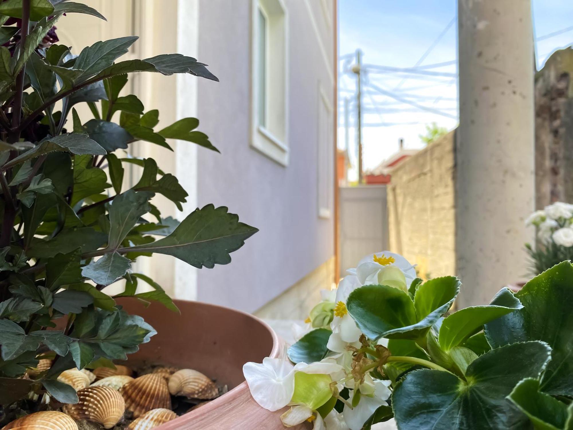 Northgate Apart-Villa Шкодер Экстерьер фото